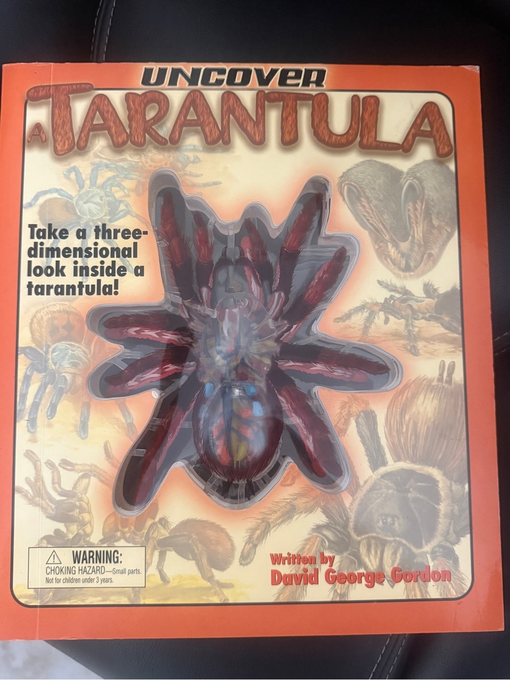 Source Unknown 3D Tarantula Model - Orange and Black